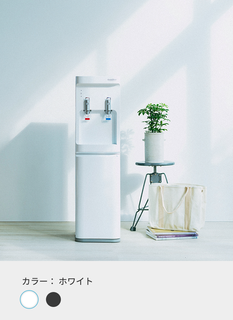 カラー:ホワイト